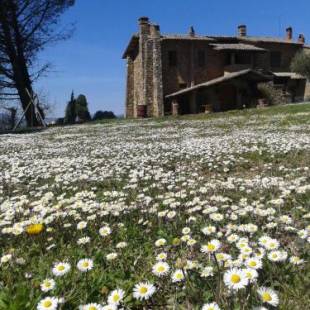 Фотографии базы отдыха 
            Agriturismo Le Roghete