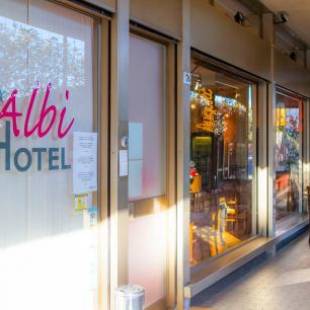 Фотографии гостиницы 
            Hotel Albi