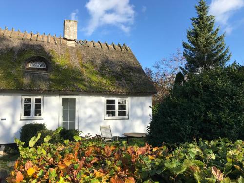 Фотография гостевого дома Apple Cottage