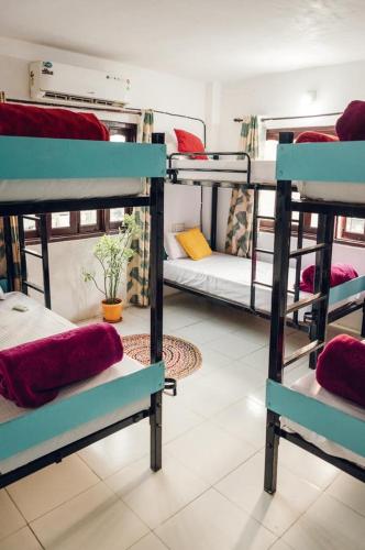 Фотографии хостела 
            Hostel Crown Udaipur