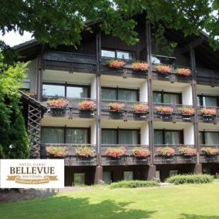 Фотографии гостиницы 
            Hotel garni Bellevue