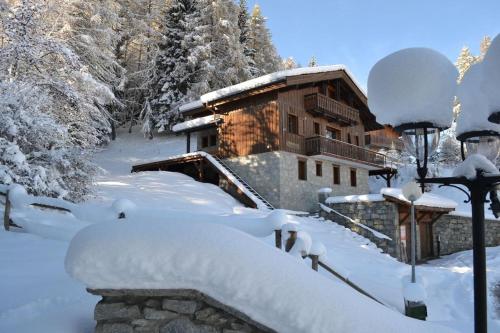 Фотографии гостевого дома 
            Fabulous chalet La Plagne - ski in-ski out - Sauna with Mont Blanc view