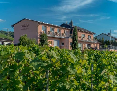 Фотография гостевого дома Weingut Tiliahof