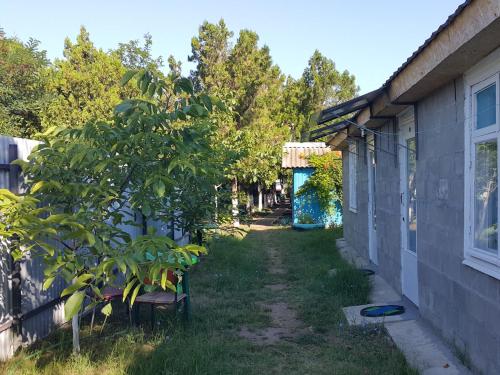 Фотография гостиницы Нептун в Приморском