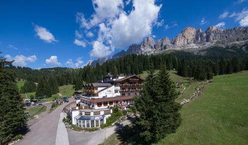 Фотография гостиницы Moseralm Dolomiti Spa Resort