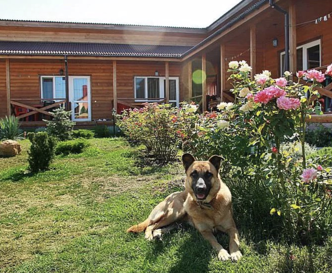 Фотография гостиницы Суслик Морской