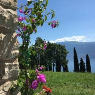 Фотографии базы отдыха 
            Agriturismo Casa del Castagneto