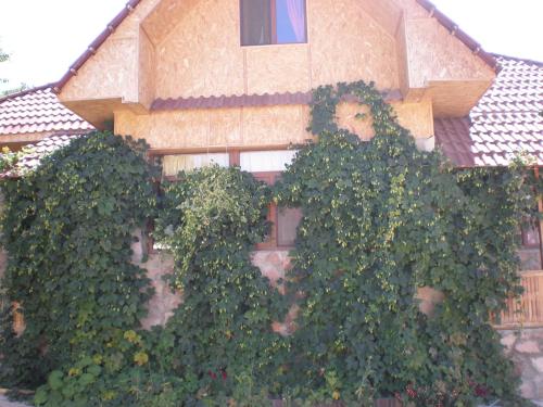 Фотография базы отдыха Chimgan Apple Garden