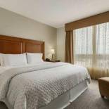 Фотография гостиницы Embassy Suites Dulles - North/Loudoun