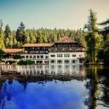 Фотография гостиницы Hotel Langenwaldsee