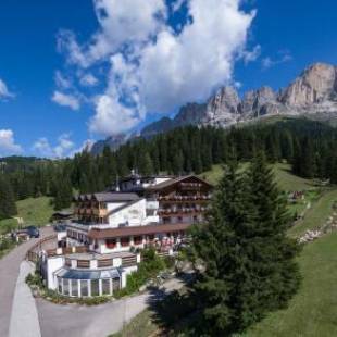 Фотографии гостиницы 
            Moseralm Dolomiti Spa Resort