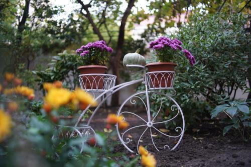 Фотографии гостевого дома 
            City Garden Tbilisi