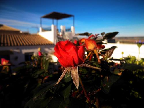 Фотография гостевого дома Casa Campana