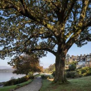 Фотографии гостиницы 
            Langdale Chase Hotel