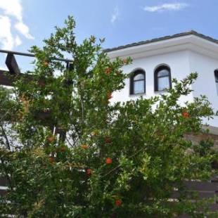 Фотографии гостевого дома
Karpofora Traditional Guesthouse