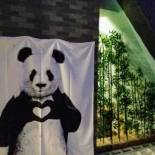 Фотография мини отеля Loving Chengdu Youth Hostel