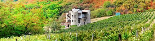 Фотография гостиницы Babaneuris Marani