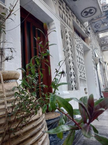 Фотография гостевого дома Xista Manor House ®