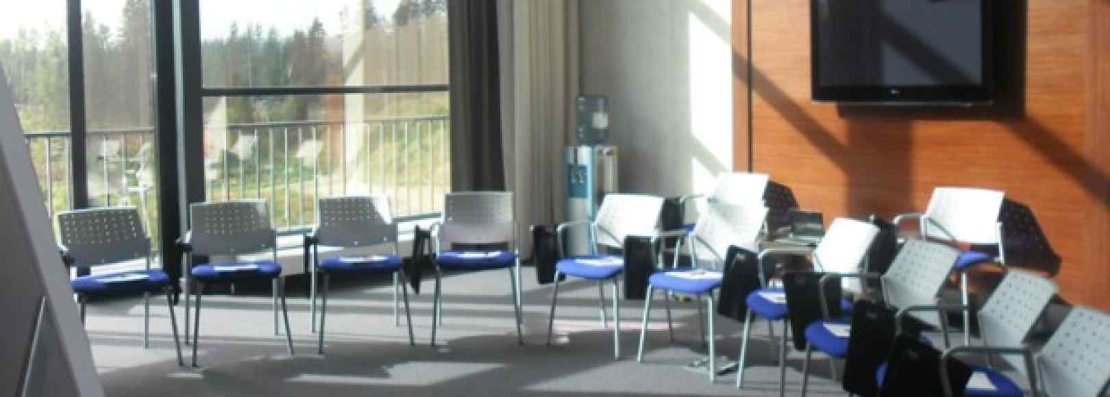 Фотография конференц-зала Бронзовый