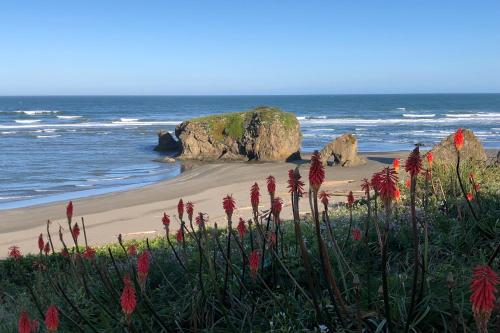 Фотография гостевого дома Dolphin Manor
