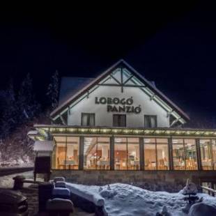 Фотографии гостиницы 
            Lobogo Resort