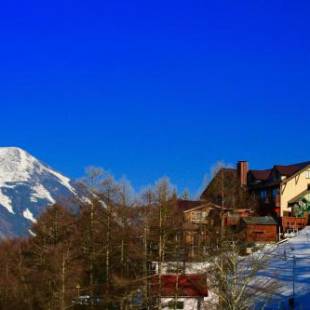 Фотографии гостиницы 
            Hotel Andermatt