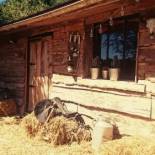 Фотография гостевого дома La Cabane Aux Loups