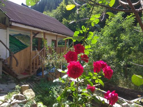 Фотография мини отеля ДимГора комфорт