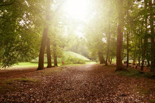 Фотография гостевого дома In de bocht