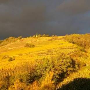 Фотографии гостевого дома 
            Wine Passion Panoramic