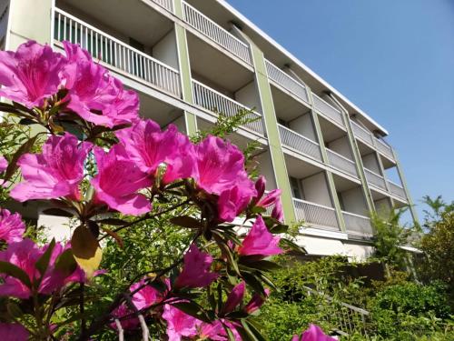 Фотография гостиницы Hotel Ghironi