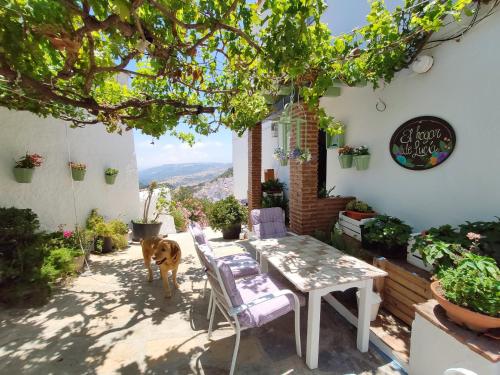 Фотография гостевого дома El hogar de Lucía