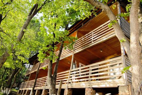 Фотография базы отдыха Россиянка