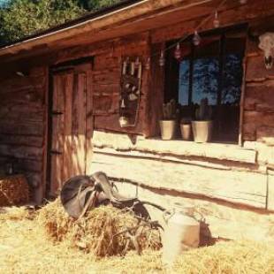 Фотографии гостевого дома 
            La Cabane Aux Loups