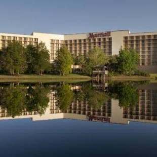 Фотографии гостиницы 
            Marriott Orlando Airport Lakeside