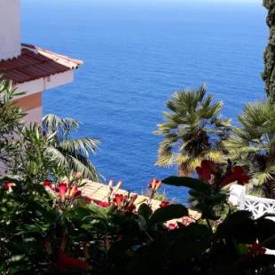 Фотографии мини отеля
Willkommen im Paradies - Welcome in Paradise - Bienvenidos al paraíso