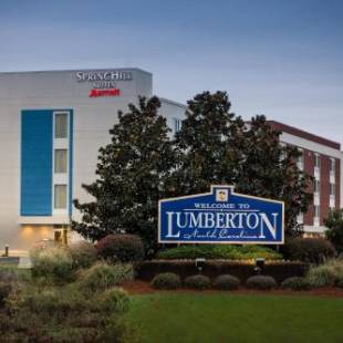 Фотографии гостиницы 
            SpringHill Suites Lumberton