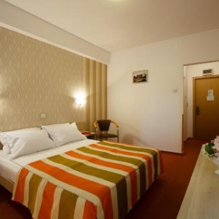 Фотография гостиницы ibis Styles Dunarea Galati