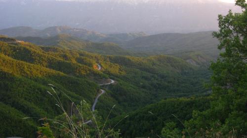 Фотография гостевого дома Petrino Spiti