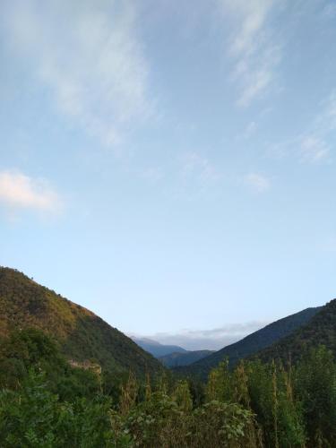 Фотография мини отеля Arman B & B