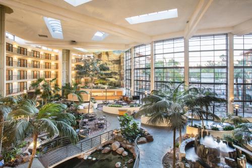 Фотография гостиницы Embassy Suites Phoenix - Biltmore