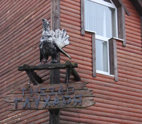 Фотография гостиницы Гнездо Глухаря