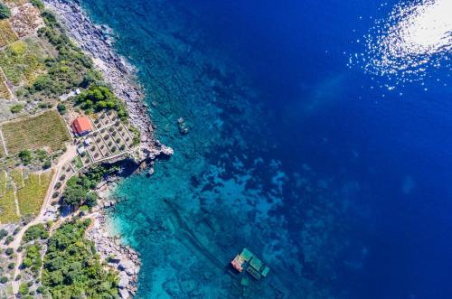 Фотография гостевого дома Villa Sea Edge