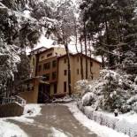 Фотография гостиницы Boutique Hotel & Spa Bosque del Nahuel