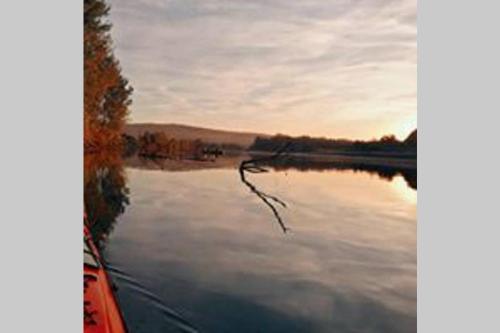 Фотография гостевого дома Danube fairy with pool