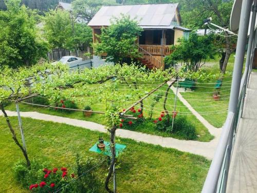 Фотография гостевого дома Happy holidays house