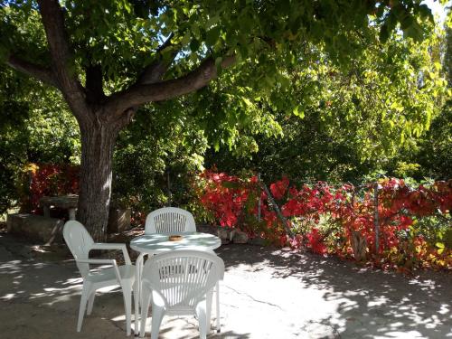 Фотография гостевого дома Cortijo Ramon Petra