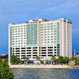 Фотографии гостиницы 
            The Westin Tampa Bay