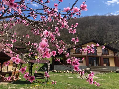 Фотографии гостевого дома
ДАХОВСКОЕ ПОМЕСТЬЕ