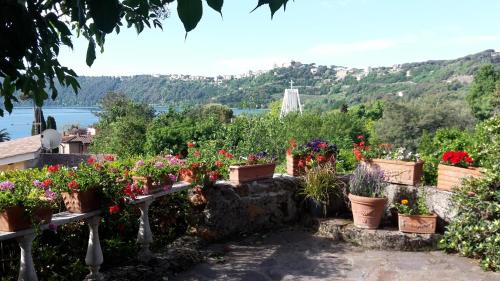 Фотографии мини отеля 
            Bed&Breakfast "Fiorella" sul Lago